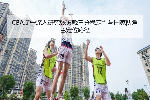 CBA辽宁深入研究张镇麟三分稳定性与国家队角色定位路径